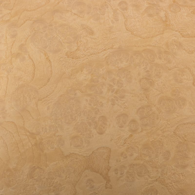 Ash Burl – Heitink Architectural Veneer and Plywood